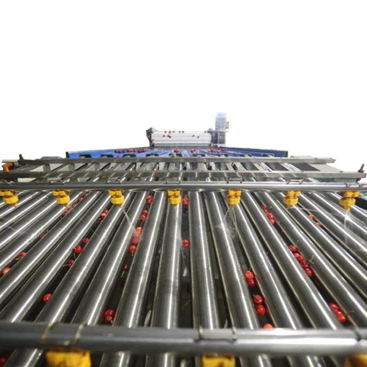 樱桃分选机樱桃选果机 车厘子分选分级除杂设备 - 潍坊厂家,清洗/食品/商业设备,肉制品加工设备,淘宝优惠券,粉丝福利购,淘宝优惠卷