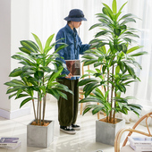 北欧彷真绿色植物巴西木盆栽假植物巴西铁落地室内客厅装 饰造景摆