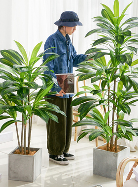 北欧彷真绿色植物巴西木盆栽假植物巴西铁落地室内客厅装饰造景摆