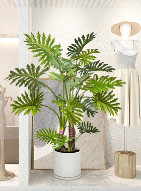 仿真植物春芋叶室内客厅高端轻奢绿植盆栽高品质仿生落地摆件装饰