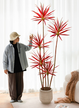 彷真绿色植物龙舌兰室内客厅沙发旁落地摆件盆栽高端轻奢彷生植物