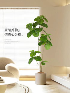侘寂风网红大型仿真植物室内落地装饰盆栽心叶榕仿生假绿植摆件树