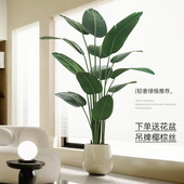 彷真绿色植物高端轻奢旅人蕉室内大型落地盆栽客厅装 饰摆件花树假