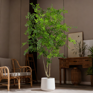 仿真绿植榆钱树室内大型装饰摆件店铺橱窗金钱榕落地盆栽仿生植物