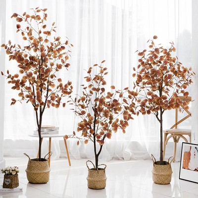 北欧ins风仿真尤加利叶金钱大树假植物落地盆栽装饰盆景绿植摆件