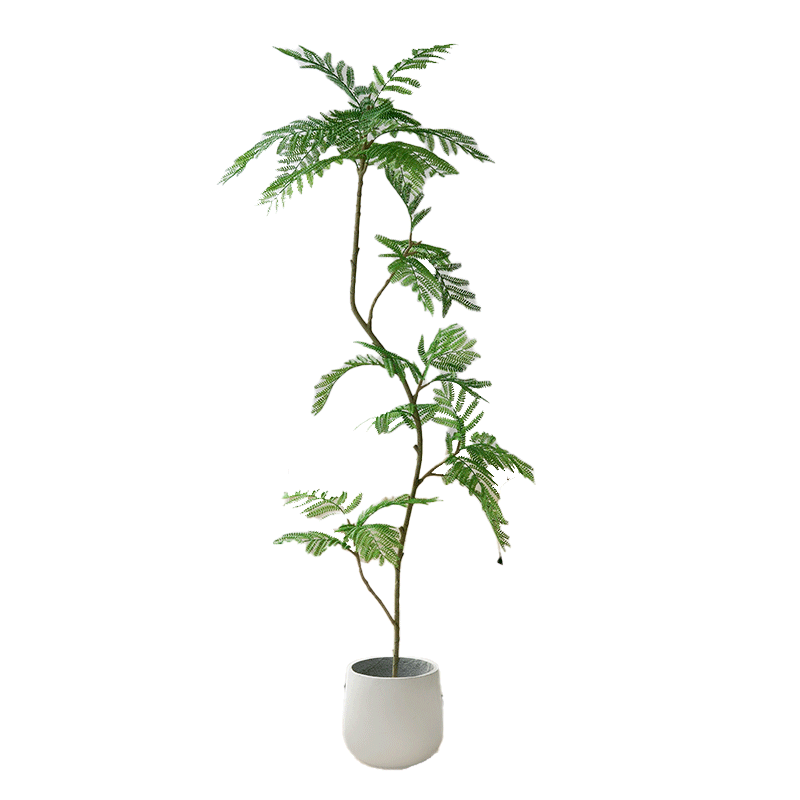 恋柚蓝花楹仿真室内客厅装饰