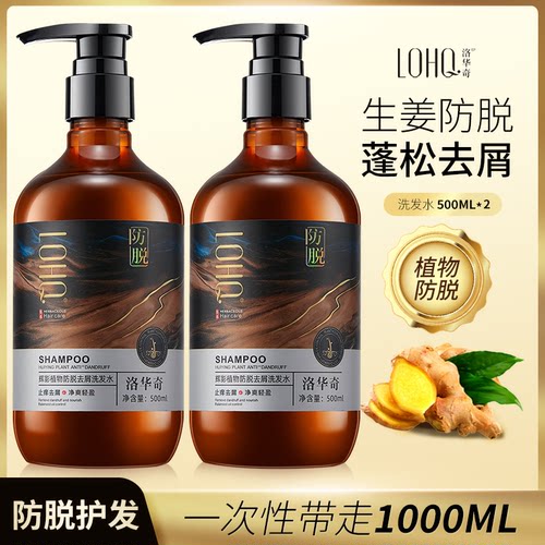 洛华奇生姜防脱控油固发洗发水