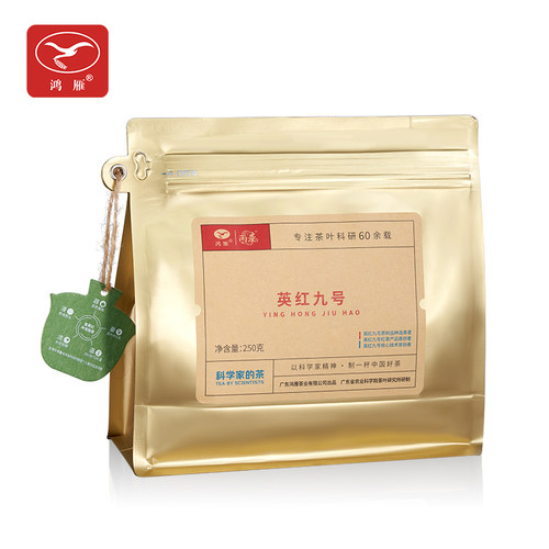 鸿雁英德红茶英红九号浓香型