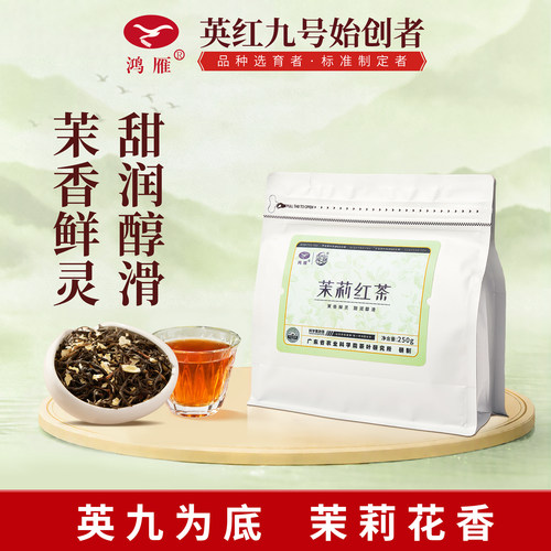 鸿雁茉莉花茶英红九号英德红茶