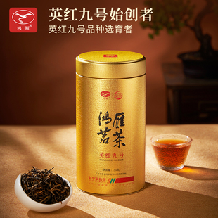 鸿雁茶叶官方旗舰店2025老树英红九号浓香型英德红茶150g送礼佳品