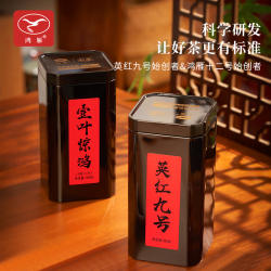 【促销款】鸿雁英德红茶英红九号浓香型80g（赠鸿雁十二号100g）