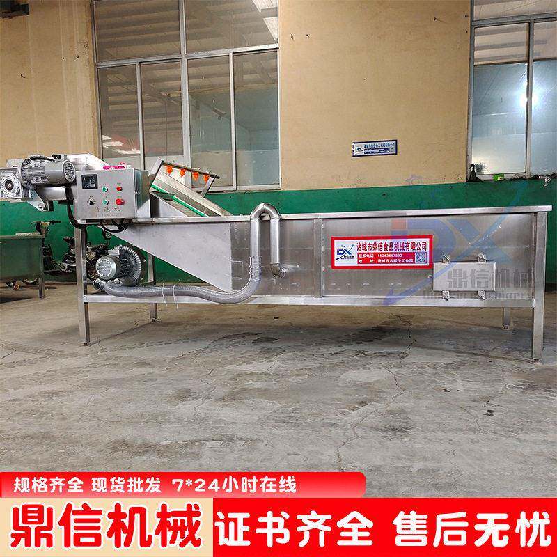 水果蔬菜清洗机 多功能喷淋式水果气泡清洗机 葡萄清洗机设备厂家