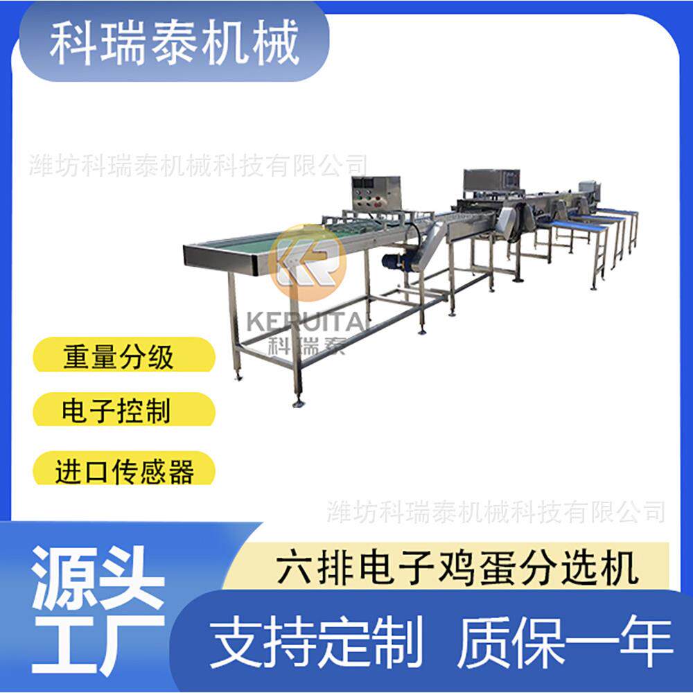 鸡蛋鸭蛋电子分选机 自动分鸡蛋大小 进口传感器 分级精准