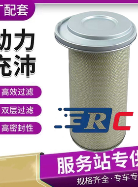 P153551 P185053 P525493 P537791 AF1968M AF26328M空滤气滤芯