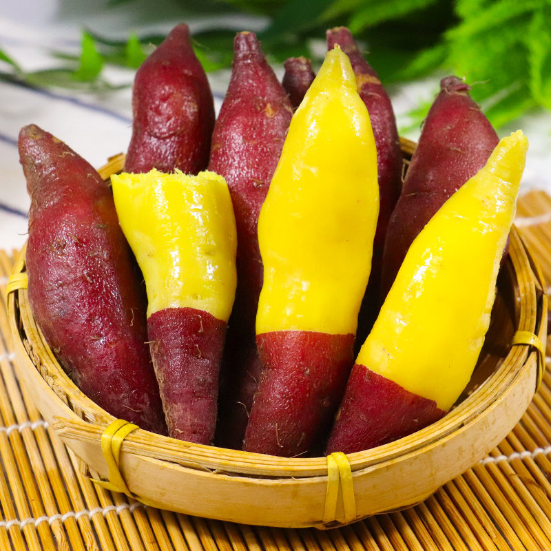 3/5斤临安天目山小香薯新鲜红薯正宗板栗沙地番薯地瓜手指小红薯