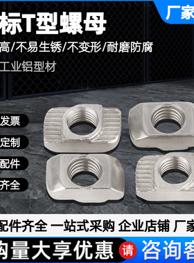 欧标t型螺母铝型材专用20/30/40/45T型M4M5M6M8锤头船形国标配件