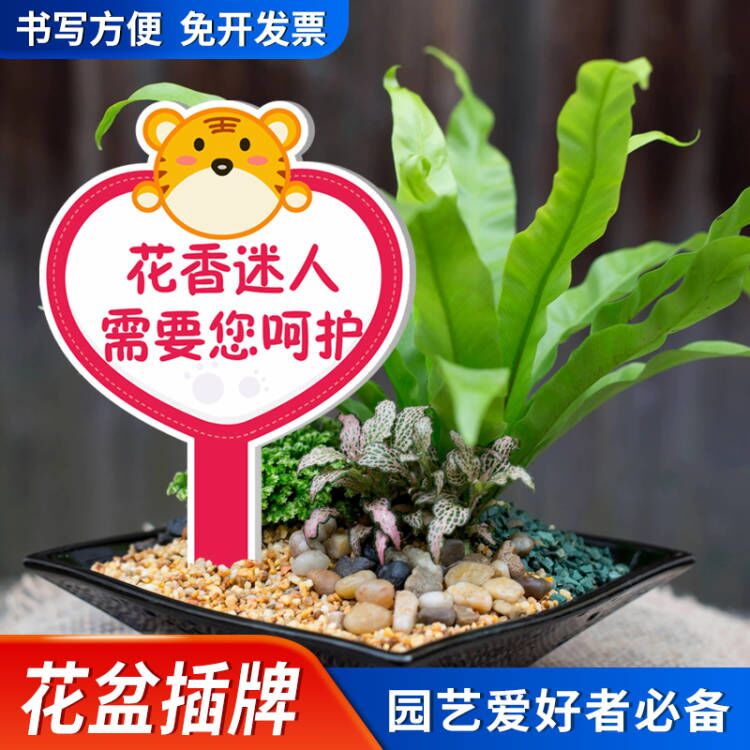园艺标签T型多肉植物花卉地插牌防防晒水园艺苗木定制种植时间人花草