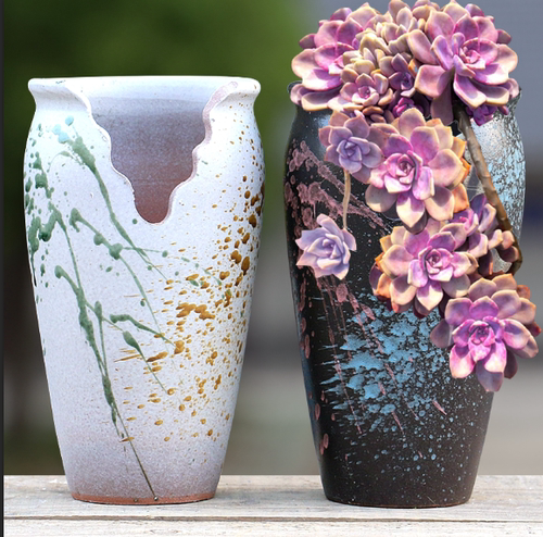 切口多肉植物法师老桩陶瓷高花盆