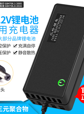锂电池充电器24V2A聚合物5A快充10A通用DC三元6串V25.2伏3A锂电钻