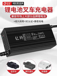 锂电池充电器大功率12v24v48v30A50A100安三元锂磷酸铁锂电池叉车
