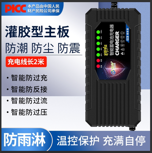 亿玲铅酸蓄电池石墨烯专用充电器
