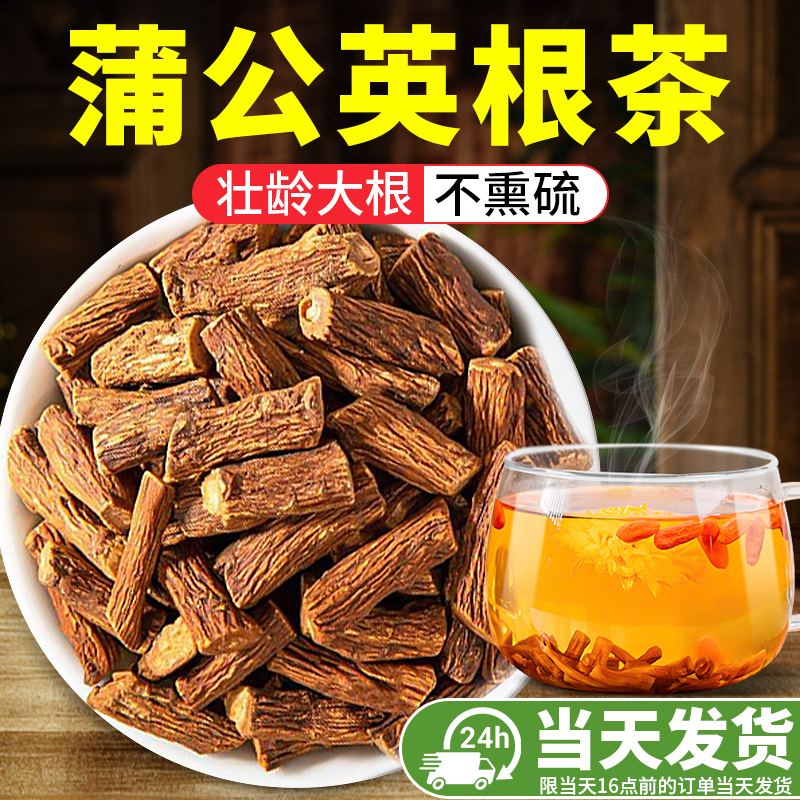 【北京同仁堂】蒲公英根茶