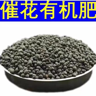君子兰专用肥腰肥氮磷钾肥炒熟的松仁催花有机肥脱胶牛骨粒兰花用