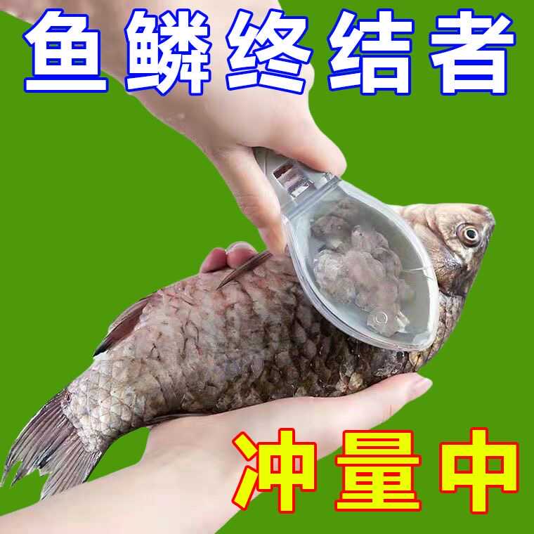 鱼鳞刨去鱼鳞工具防飞溅