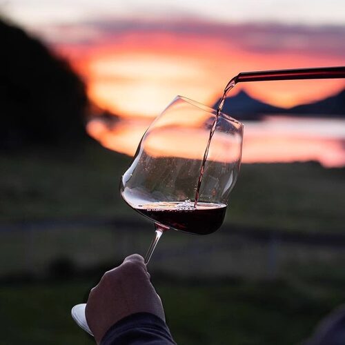 Koso卖场|riedel酒翼葡萄酒杯