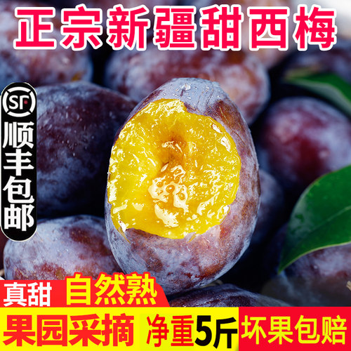 正宗新疆西梅新鲜水果鲜果顺丰当季甜喀什5斤大果大西梅非法兰西3