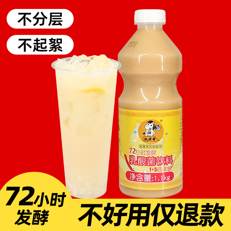 发酵乳酸菌浓缩益生菌益力多养乐多饮料浓浆 液 汁奶茶店专用商用