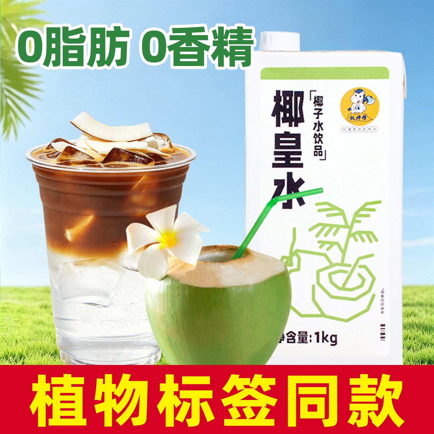 植物标签同款【0脂肪0香精椰皇