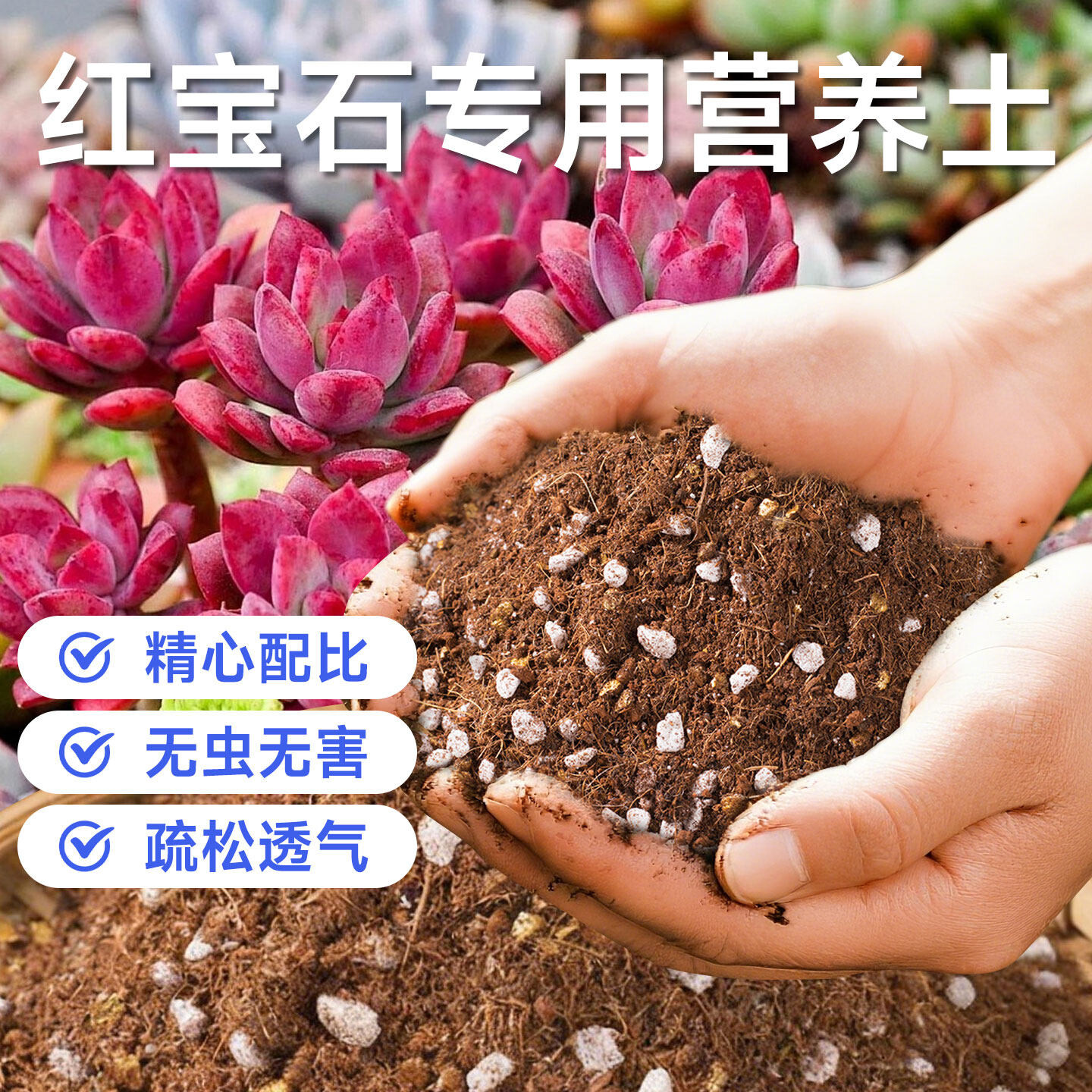 红宝石多肉营养土养花专用通用室内外盆栽种植防徒长有机泥土花土