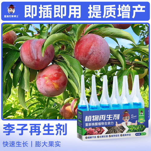 李子树专用肥料植物再生剂盆栽种植通用营养液果树增产果实膨大肥