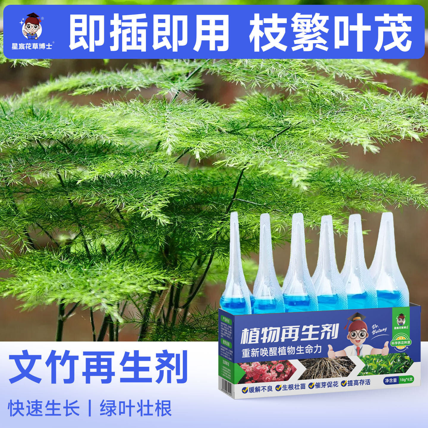 文竹专用肥料植物再生剂家用盆栽盆景种植营养液防黄叶绿植通用肥