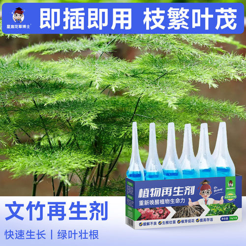 文竹专用肥料植物再生剂家用盆栽盆景种植营养液防黄叶绿植通用肥