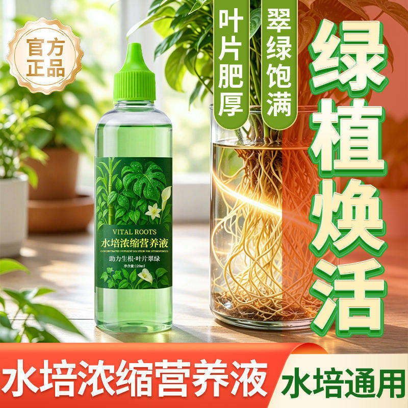 水培植物专用营养液富贵竹转运竹巴西木郁金香绿萝铜钱草通用肥料