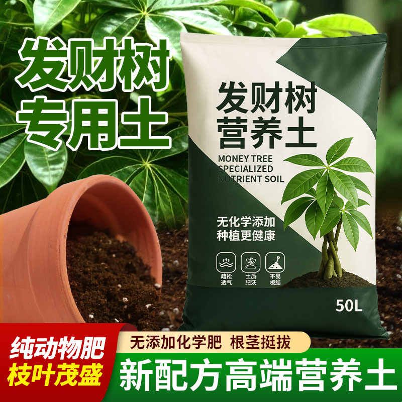 发财树专用营养土室内阳台家用绿植有机土育苗官方园艺种植土花土