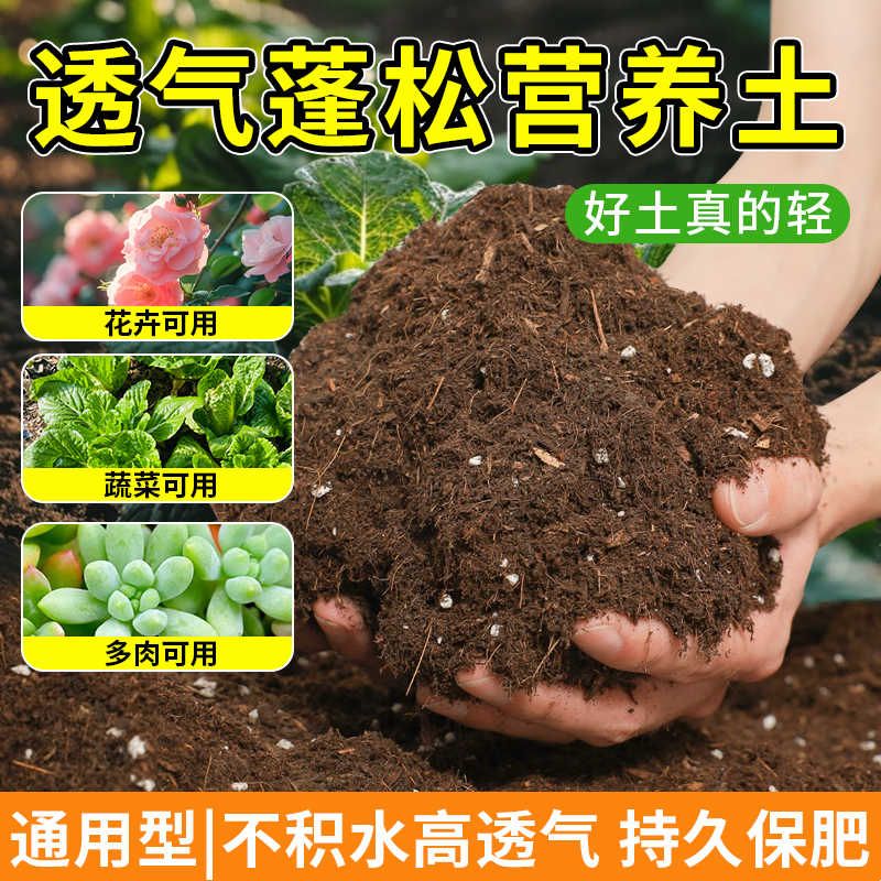 通用型营养土养花种菜通家用阳台盆栽植物专用土泥炭有机种植土壤图片