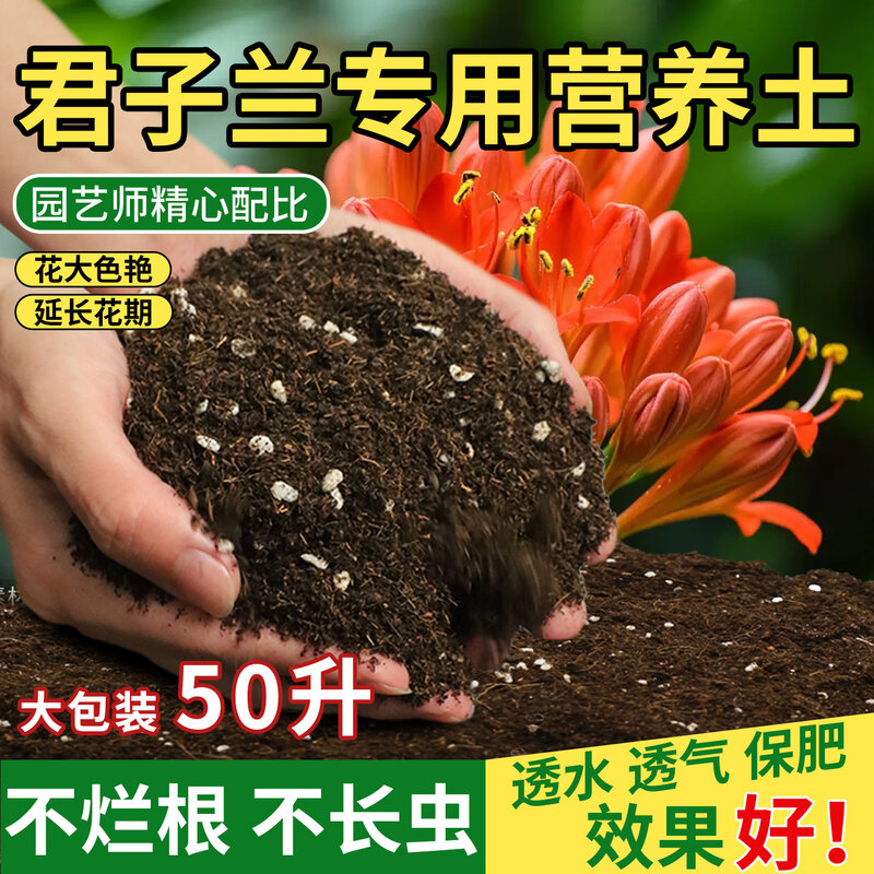 君子兰专用营养土养花通用专用泥炭兰花科土盆栽土专用肥换盆土