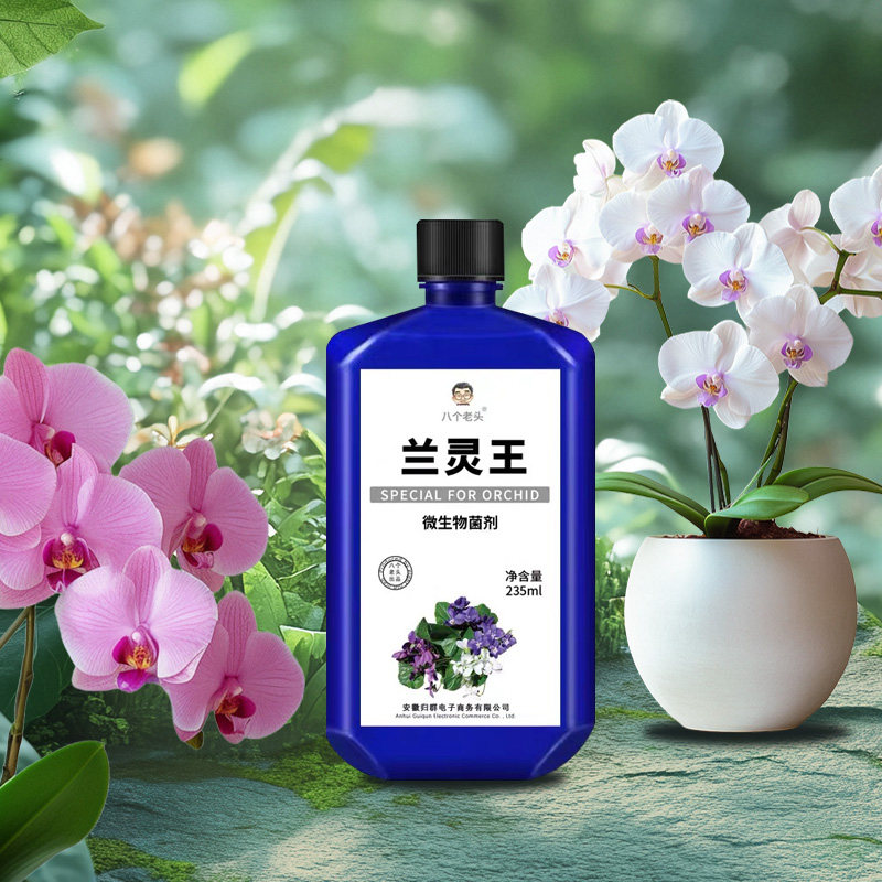 八个老头兰灵王君子兰兰花专用营养液植物蝴蝶兰兰花盆栽花卉