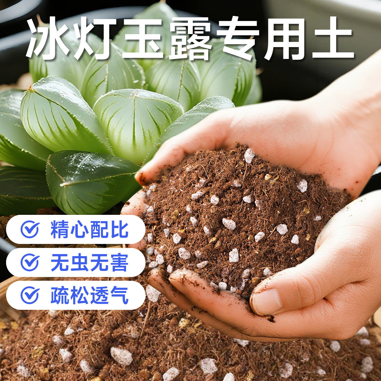 冰灯玉露种植土多肉通用专用营养土盆栽移栽用土防烂根有机多肉土