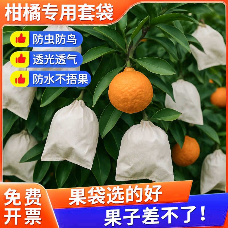 梨子专用套袋橘子果套袋丑橘橙子耙耙柑脐橙水果防鸟防虫通用套袋