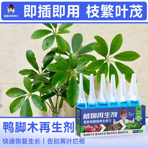 鸭脚木专用肥植物再生剂家用盆栽花卉通用营养液防黄叶烂根有机肥