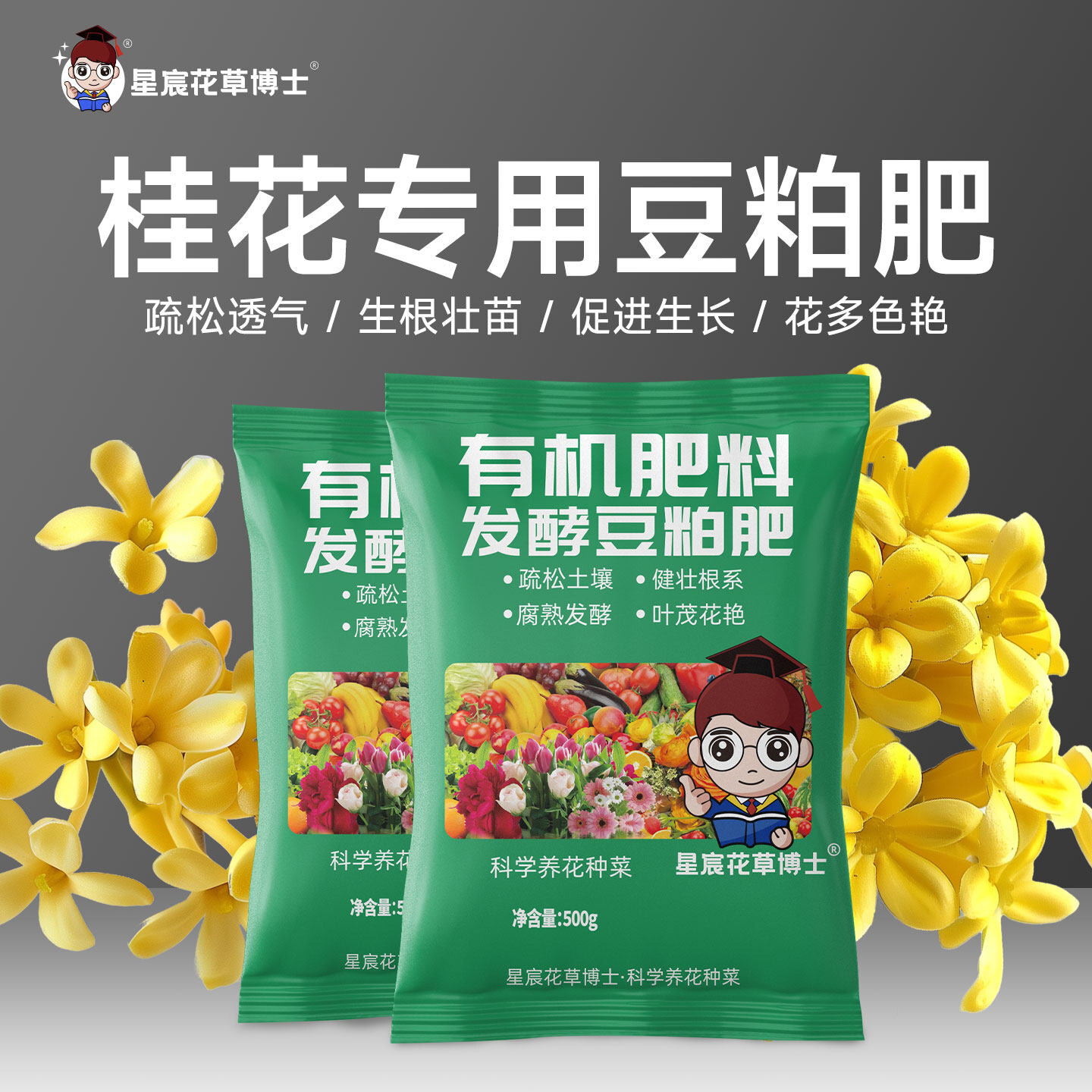 桂花专用豆粕发酵有机肥家用盆栽金桂银桂丹桂四季桂通用开花肥料