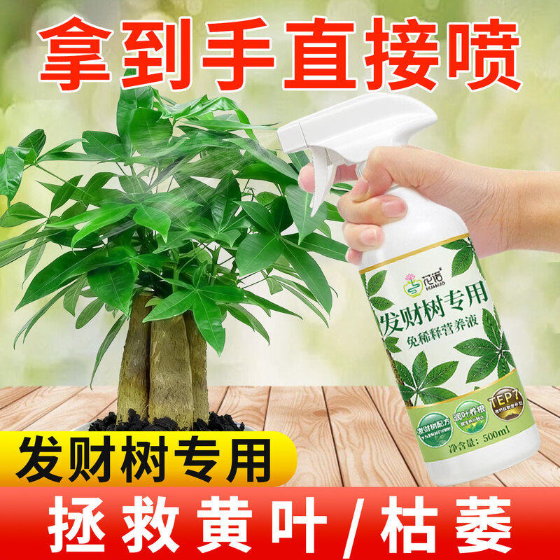 发财树专用营养液免稀释黄叶枯叶烂根肥料专用肥盆栽室内叶面肥