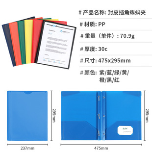 热销美式A4蝌蚪夹d型报告文件夹PP资料收纳分类双插袋文件夹KDJ