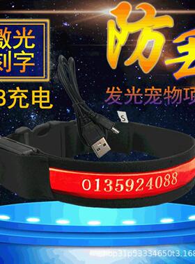LED宠物用品发光狗项圈USB充电