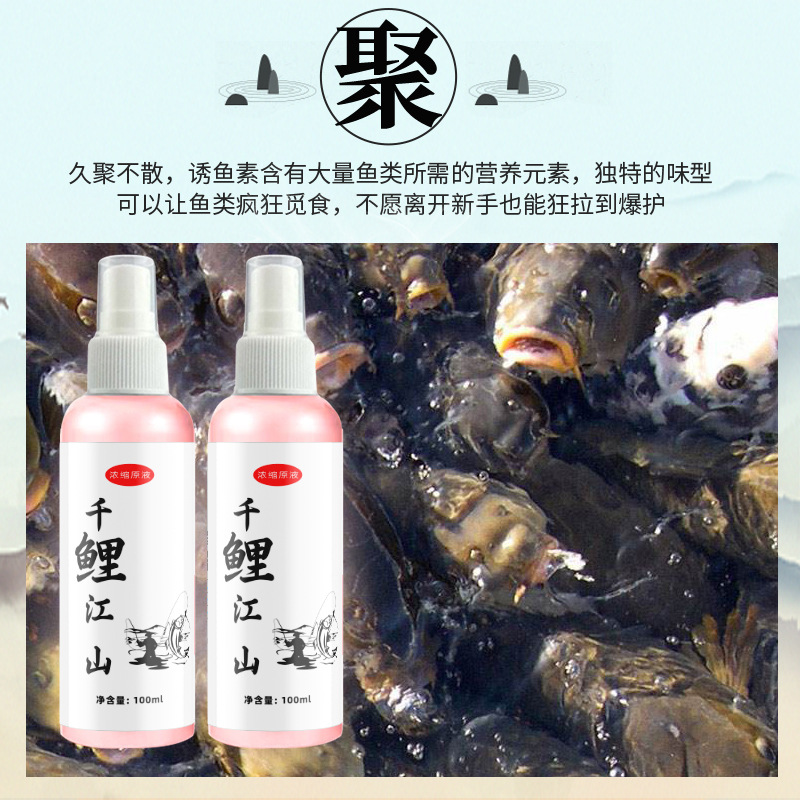 千鲤江山野钓黑坑水库鲤鱼添加剂饵料垂钓诱鱼小药液体打窝子料
