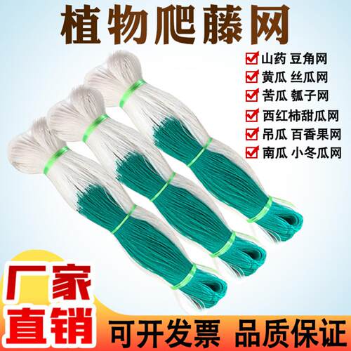 农用园艺爬藤网加粗高承重黄瓜